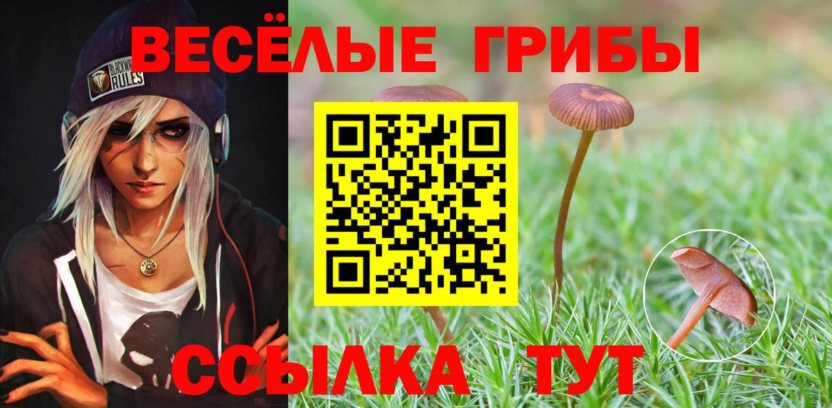 Галлюциногенные грибы GOLDEN TEACHER  Вход с VPN  Галлюциногенные грибы GOLDEN TEACHER  Асбест 